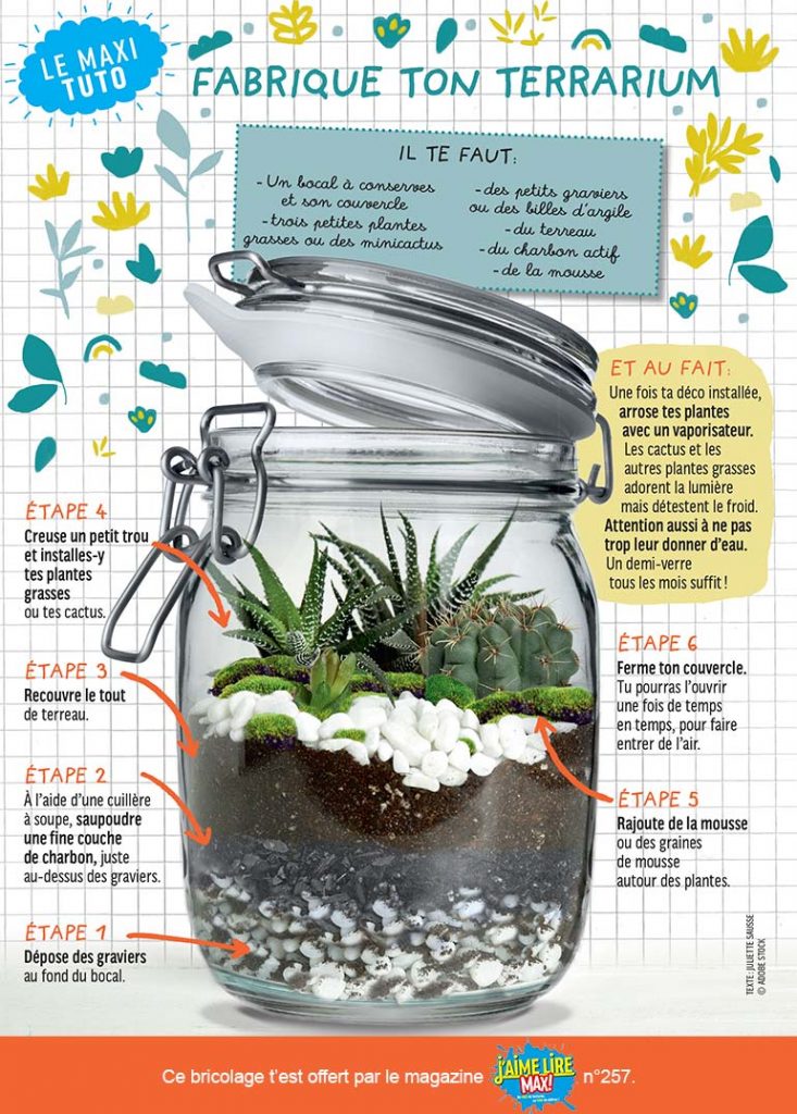 Tuto DIY : comment faire un terrarium ? - Marie Claire